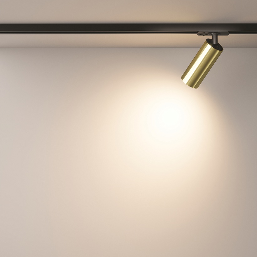 Трековый светильник Maytoni Technical TR021-1-12W3K-W-BBS