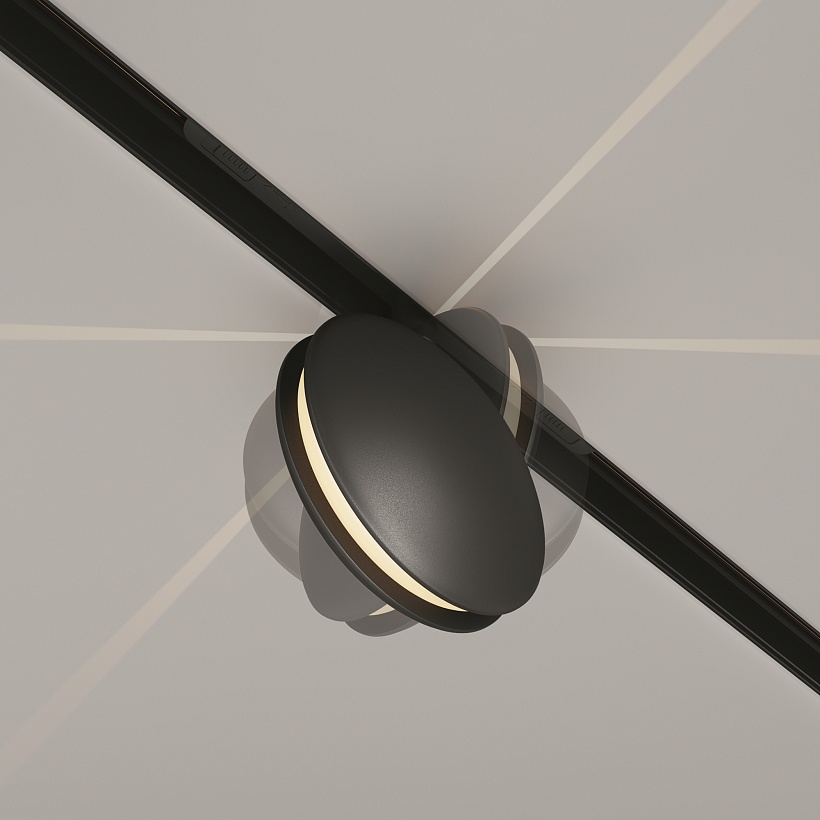 Трековый светильник Maytoni Technical TR090-2-6W3K-B