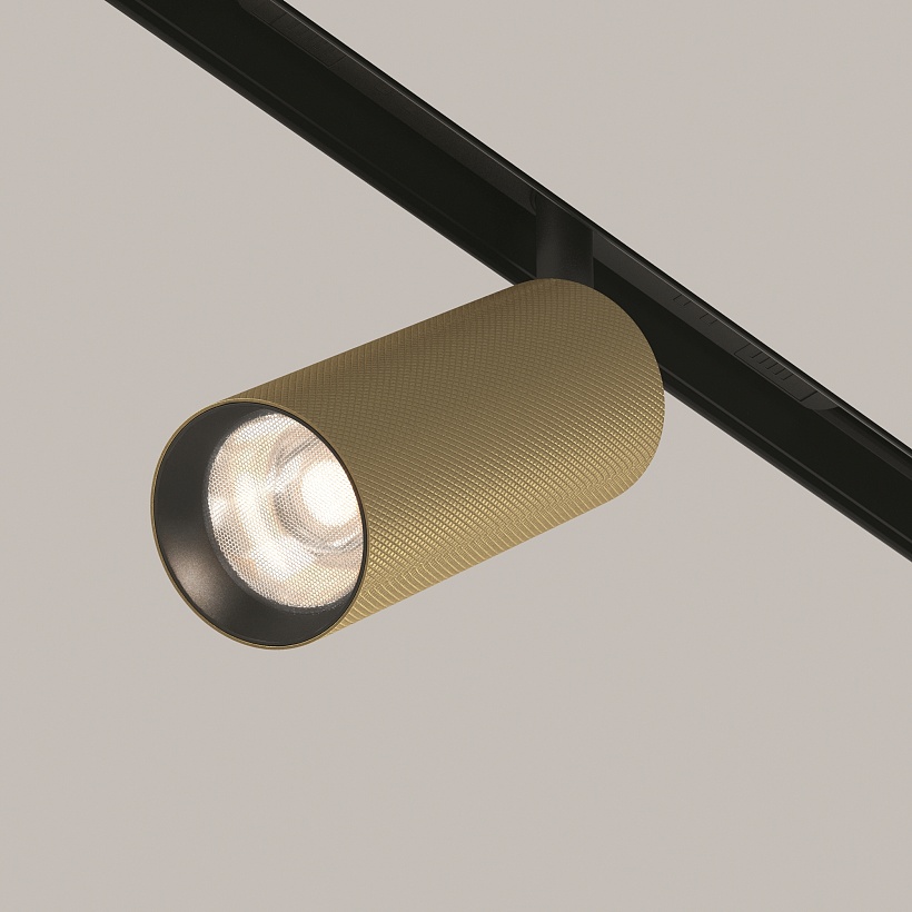 Трековый светильник Maytoni Technical TR097-2-12W4K-M-BMG