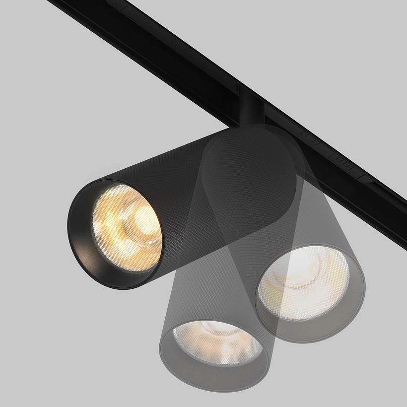 Трековый светильник Maytoni Technical TR097-2-12W2.7K-M-BB