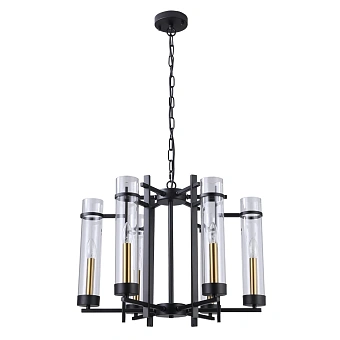 Подвесная люстра Arte Lamp HUGO A1688LM-6BK