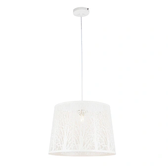 Подвесной светильник Arte Lamp CELESTA A2769SP-1WH