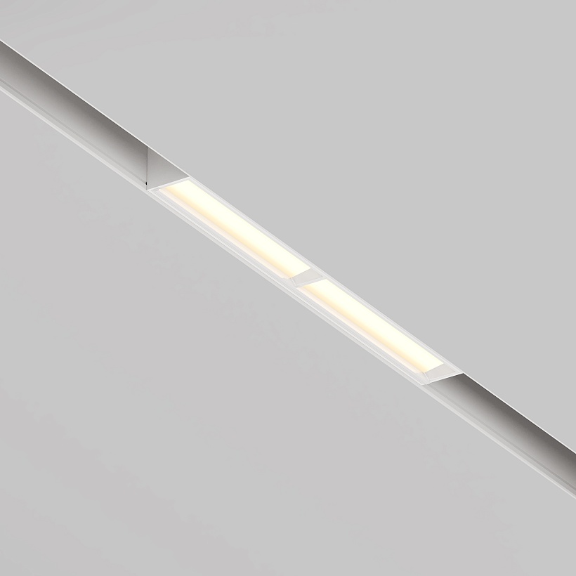 Трековый светильник Maytoni Technical TR106-2-12W3K-W