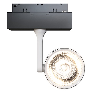 Трековый светильник Maytoni Technical TR024-2-10W3K