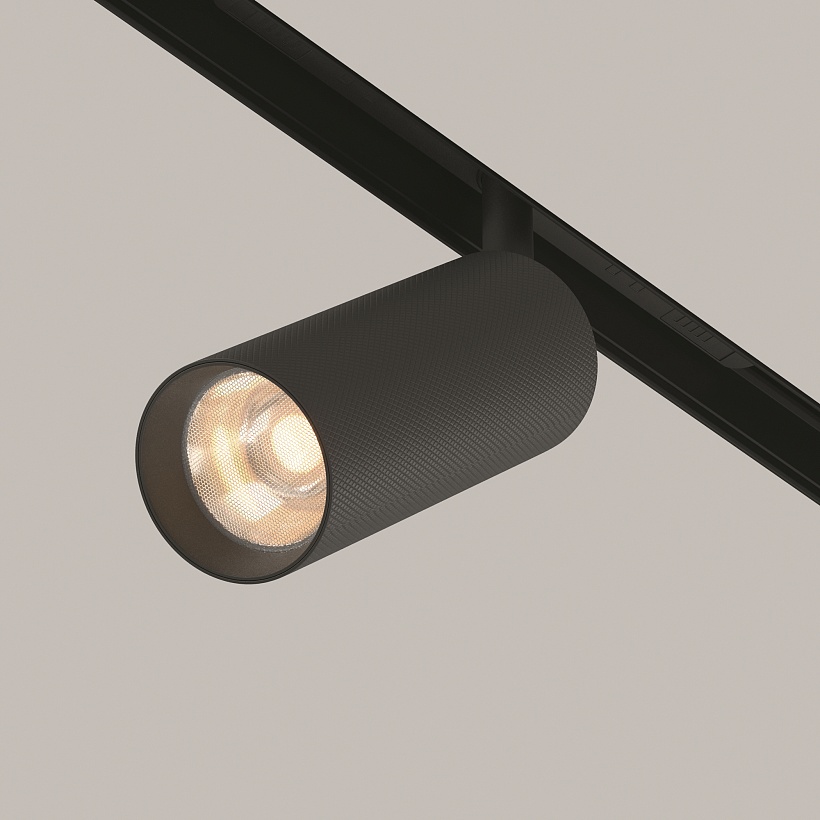 Трековый светильник Maytoni Technical TR097-2-12W3K-M-BB