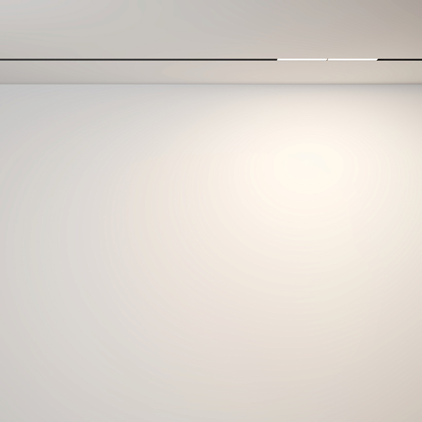 Трековый светильник Maytoni Technical TR106-2-12W3K-B