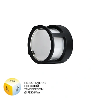 Уличный потолочный светильник Arte Lamp ULYSSES A6206PF-1BK