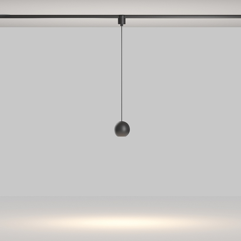 Трековый подвесной светильник Maytoni Technical TR165-1-8W3K-M-B