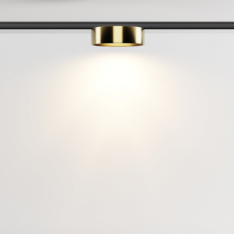 Трековый светильник Maytoni Technical TR189-1-12W3K-BBS