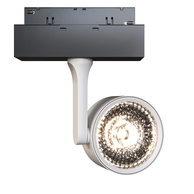 Трековый светильник Maytoni Technical TR024-2-10W3K