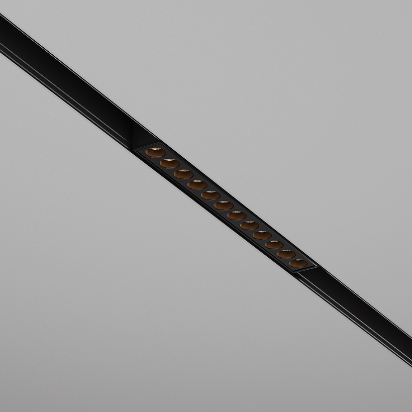 Трековый светильник Maytoni Technical TR031-2-12W2.7K-B