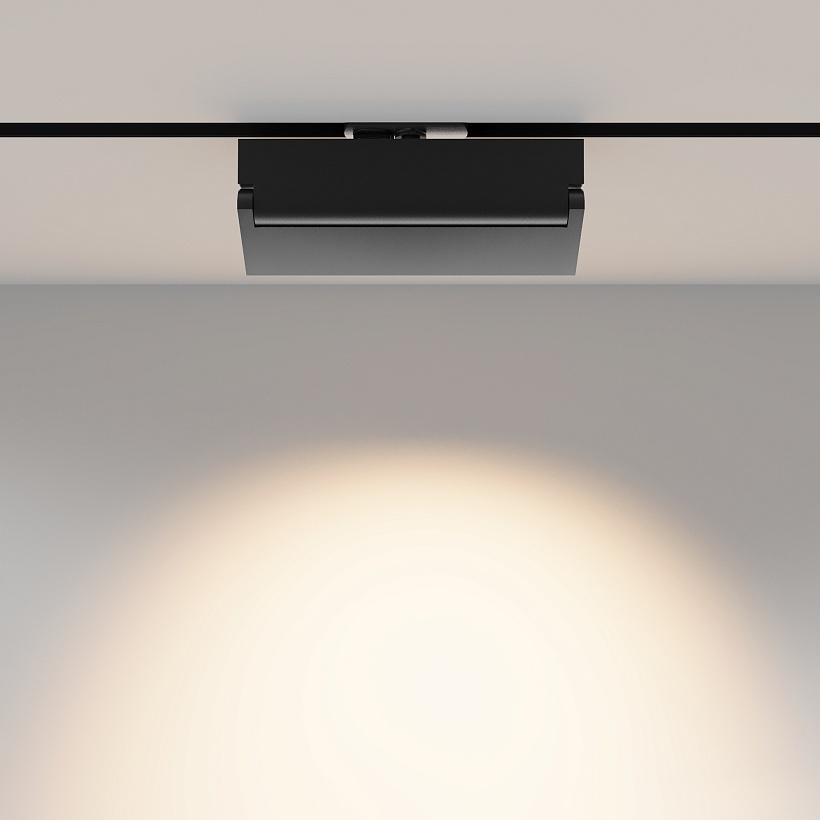 Трековый светильник Maytoni Technical TR224-1-12WCCT-M-B
