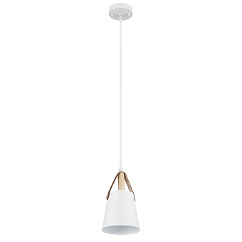 Подвесной светильник Arte Lamp THOMAS A7032SP-1WH