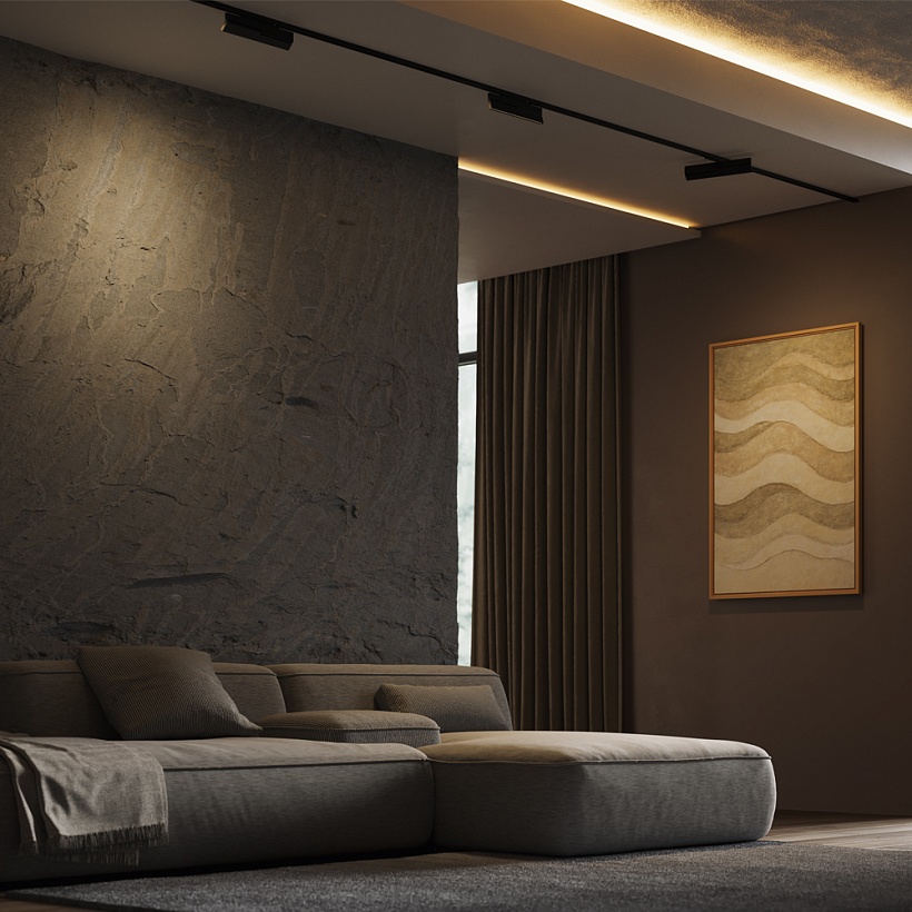 Трековый светильник Maytoni Technical TR242-2-12W3K-B
