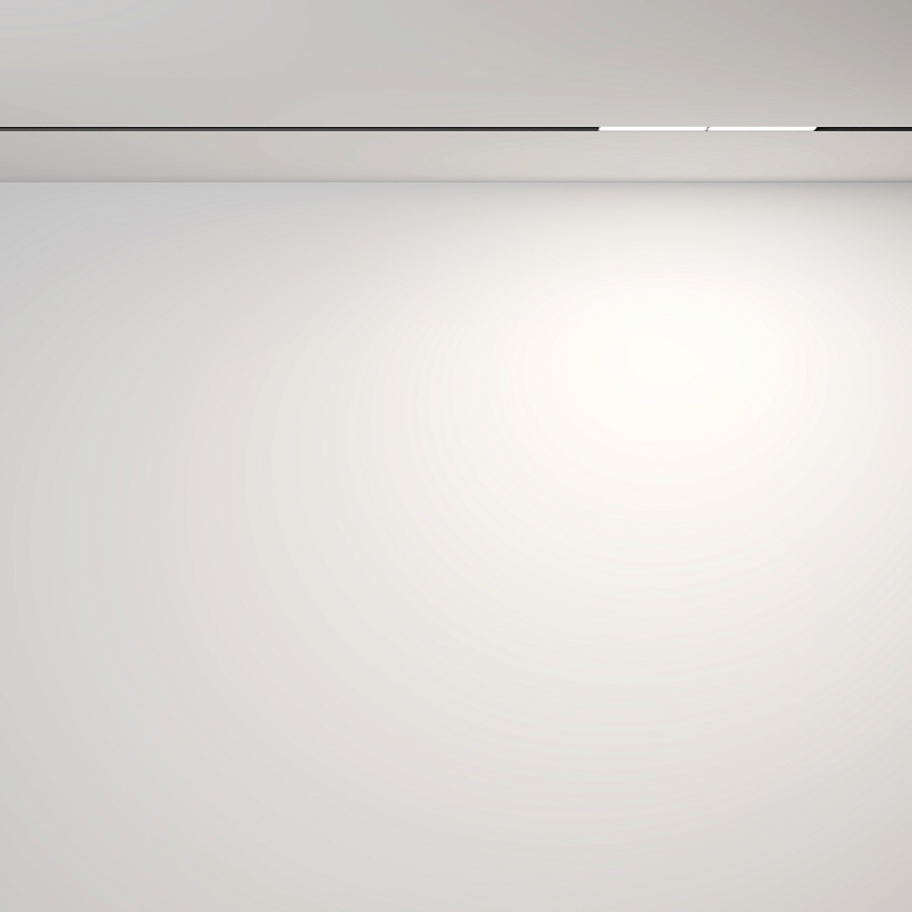 Трековый светильник Maytoni Technical TR106-2-12W4K-B