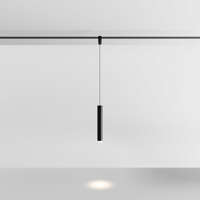 Трековый подвесной светильник Maytoni Technical TR210-1-5W3K-M-B