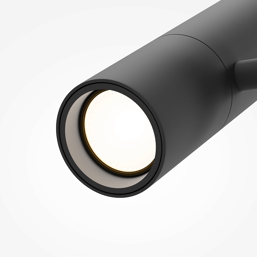 Трековый светильник Maytoni Technical TR005-2-12W4K-B