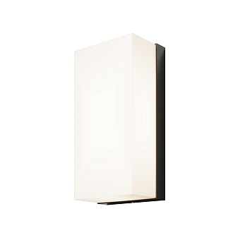 Уличный настенный светильник Outdoor O454WL-L10GF3K