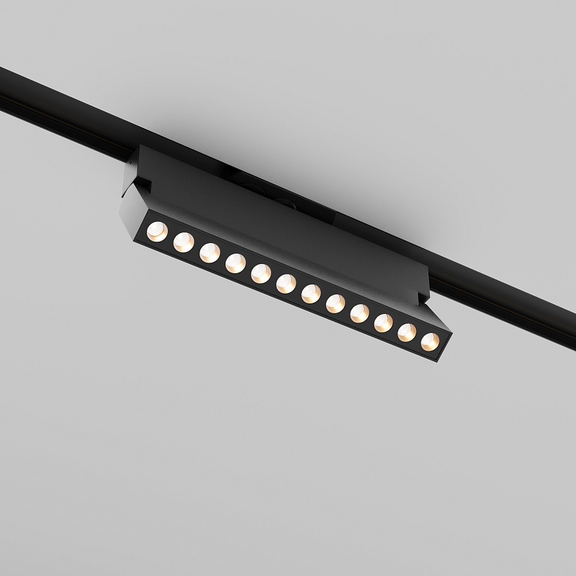 Трековый светильник Maytoni Technical TR224-1-12WCCT-M-B