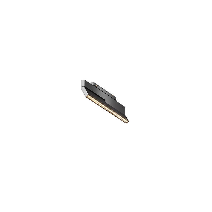 Трековый светильник Maytoni Technical TR242-2-12W3K-B