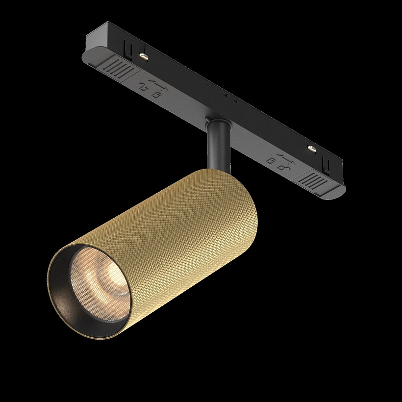 Трековый светильник Maytoni Technical TR097-2-12W3K-M-BMG