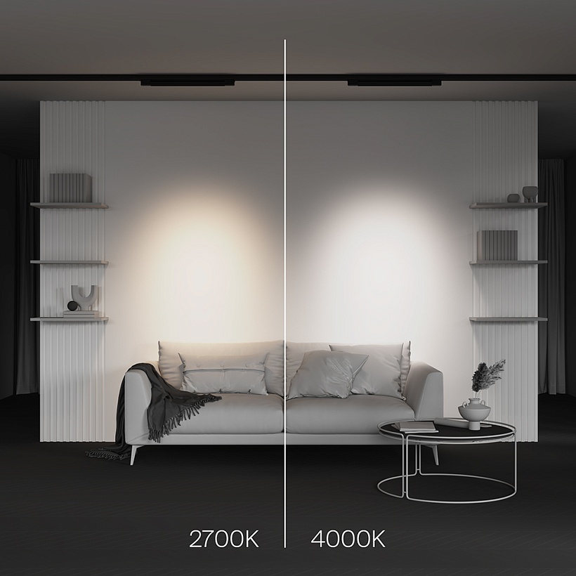 Трековый светильник Maytoni Technical TR195-3-20W2.7K-M-B