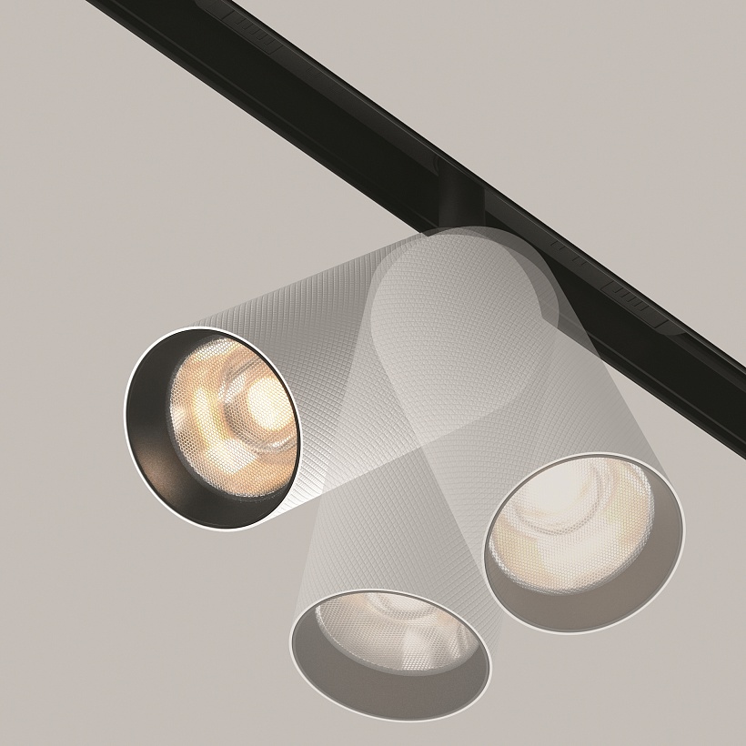 Трековый светильник Maytoni Technical TR097-2-12W3K-M-BW