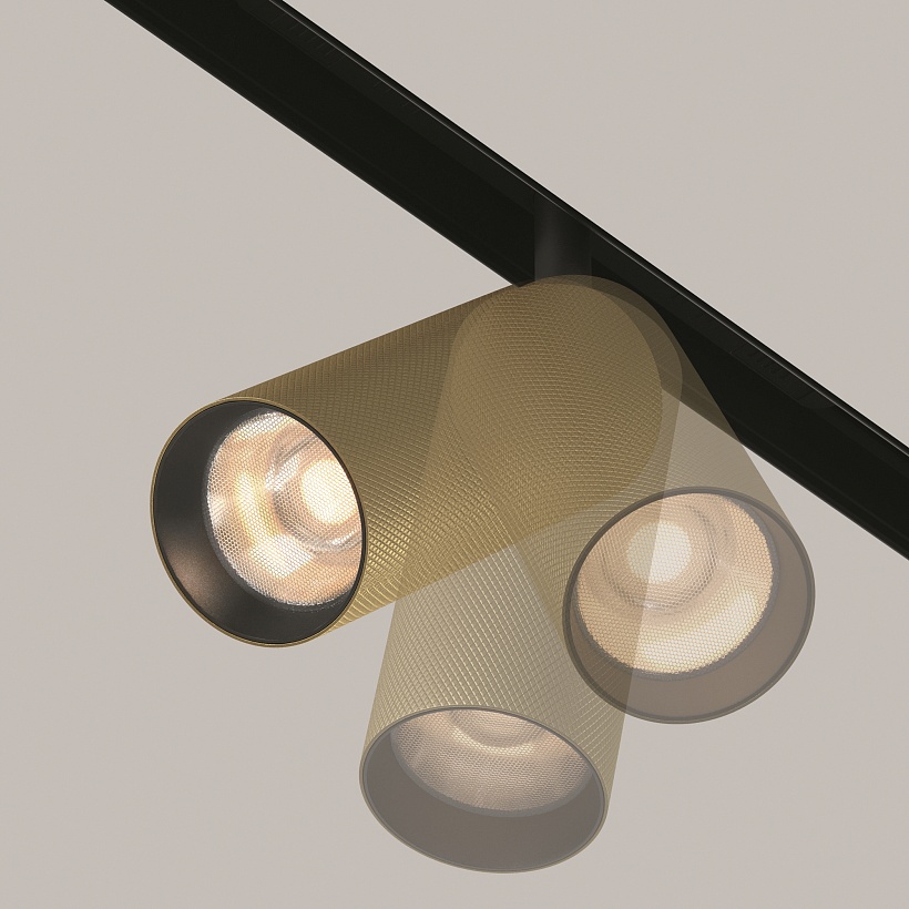 Трековый светильник Maytoni Technical TR097-2-12W3K-M-BMG