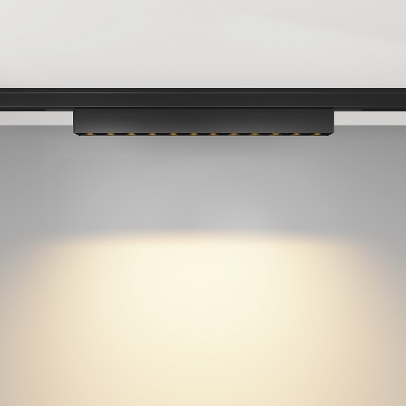 Трековый светильник Maytoni Technical TR193-1-10W2.7K-M-B