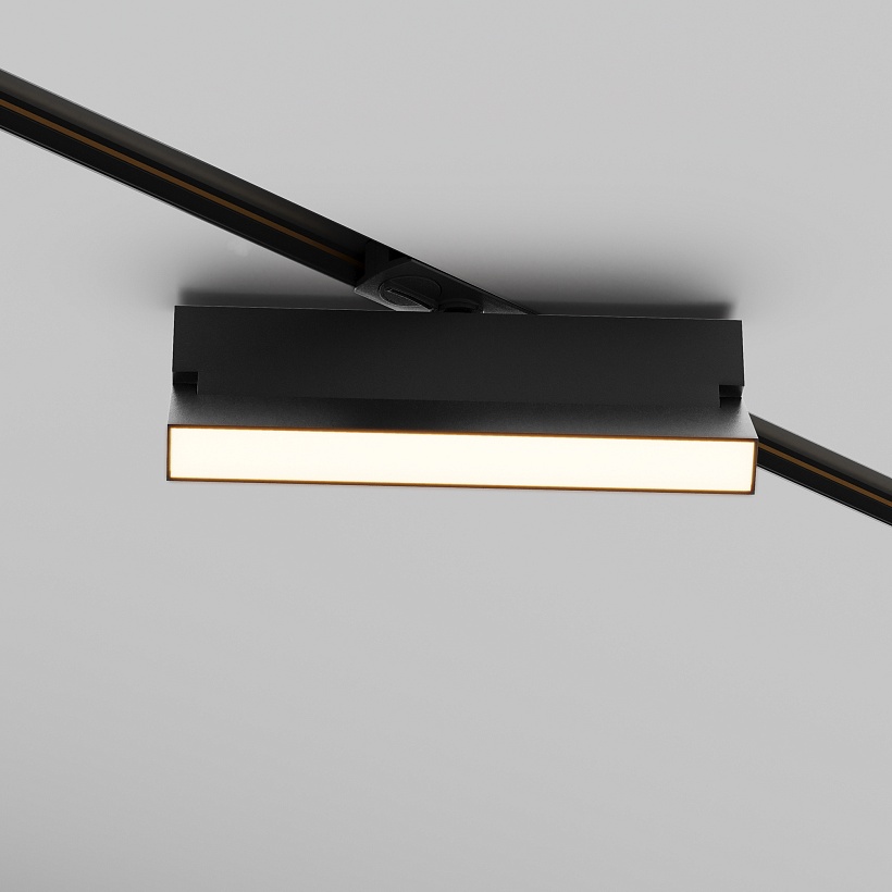 Трековый светильник Maytoni Technical TR223-1-12WCCT-W-B