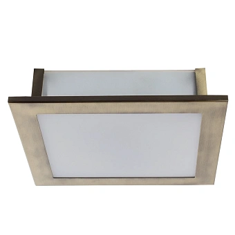 Потолочный светильник Arte Lamp FLUSHES A6064PL-2AB