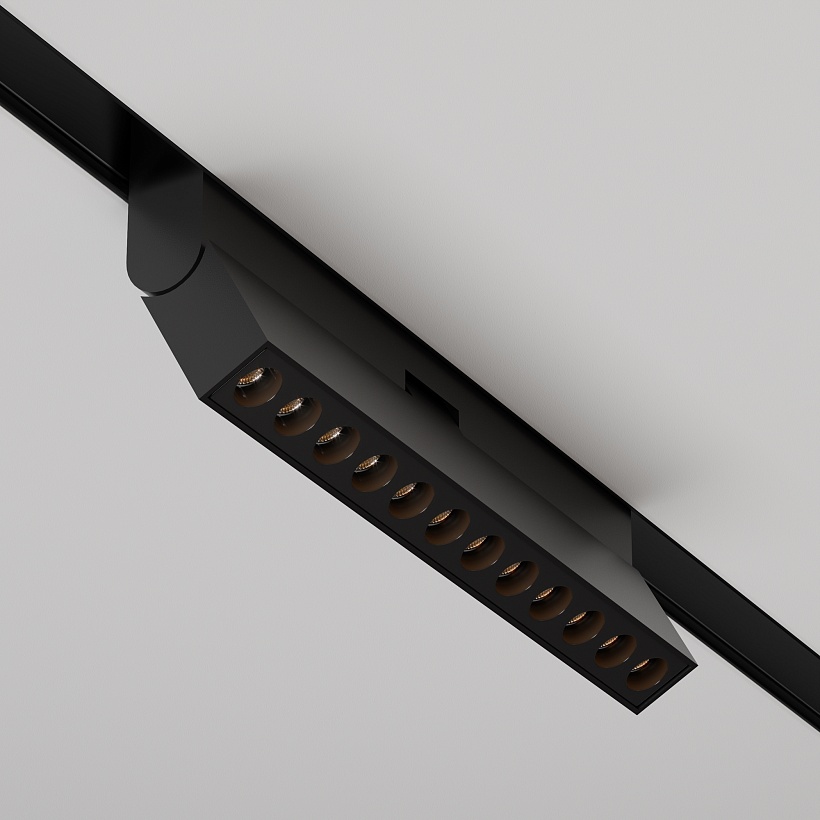 Трековый светильник Maytoni Technical TR033-2-12W2.7K-B