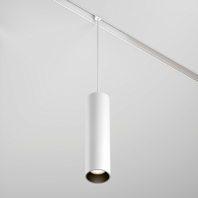 Трековый подвесной светильник Maytoni Technical TR041-2-12W3K-W