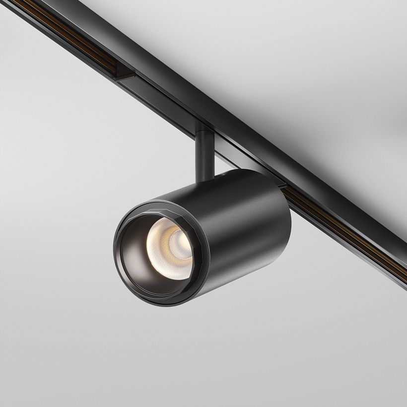 Трековый светильник Maytoni Technical TR244-4-12WTW-DSZ-B