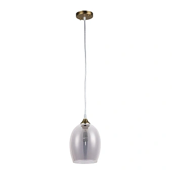 Подвесной светильник Arte Lamp PROPUS A4344SP-1PB