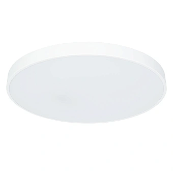 Потолочный светильник Arte Lamp ARENA A2671PL-1WH