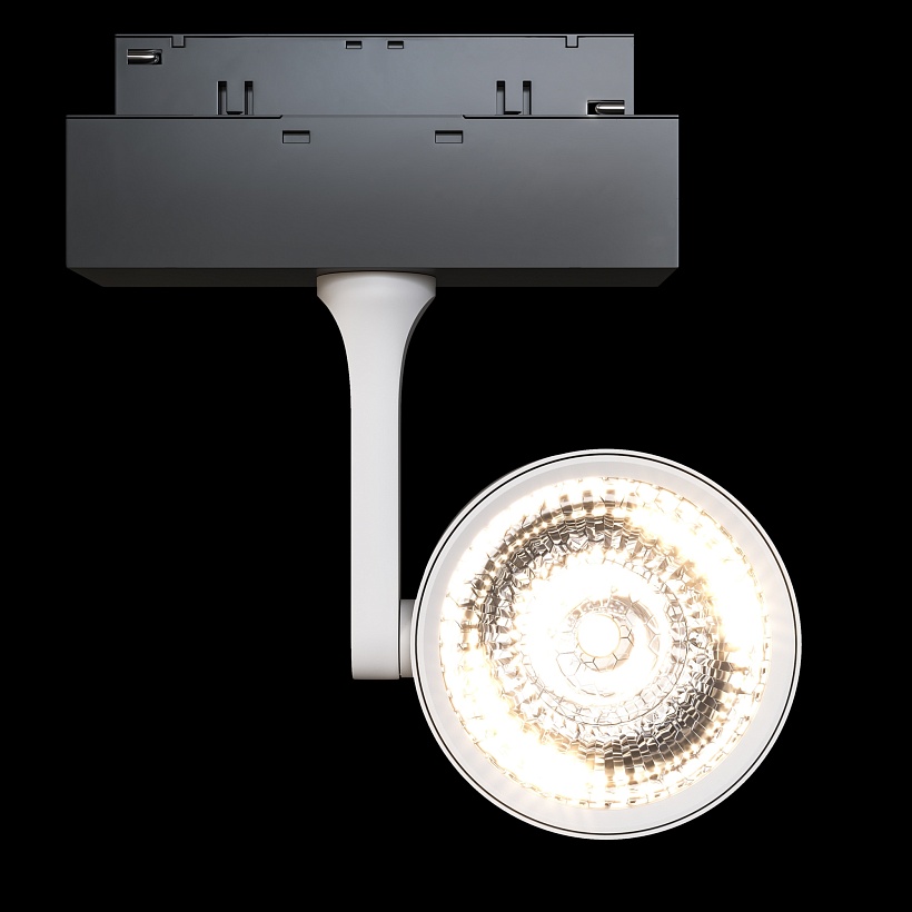 Трековый светильник Maytoni Technical TR024-2-10W3K