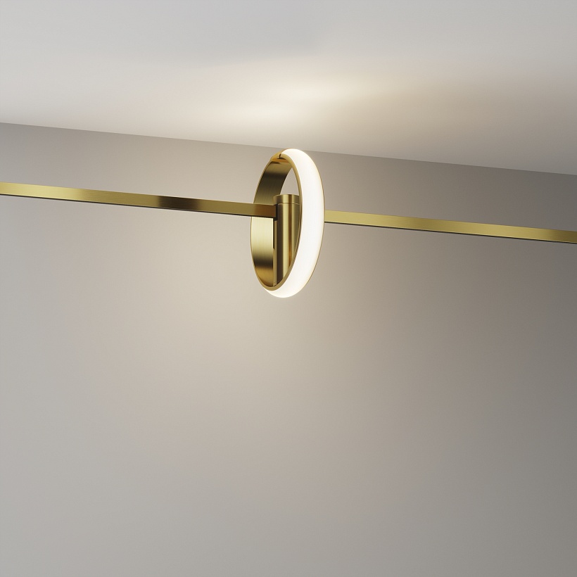 Трековый светильник Maytoni Technical TR230-1-10W3K-BS