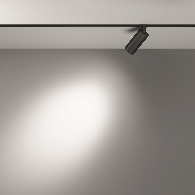 Трековый светильник Maytoni Technical TR032-2-5W3K-S-B