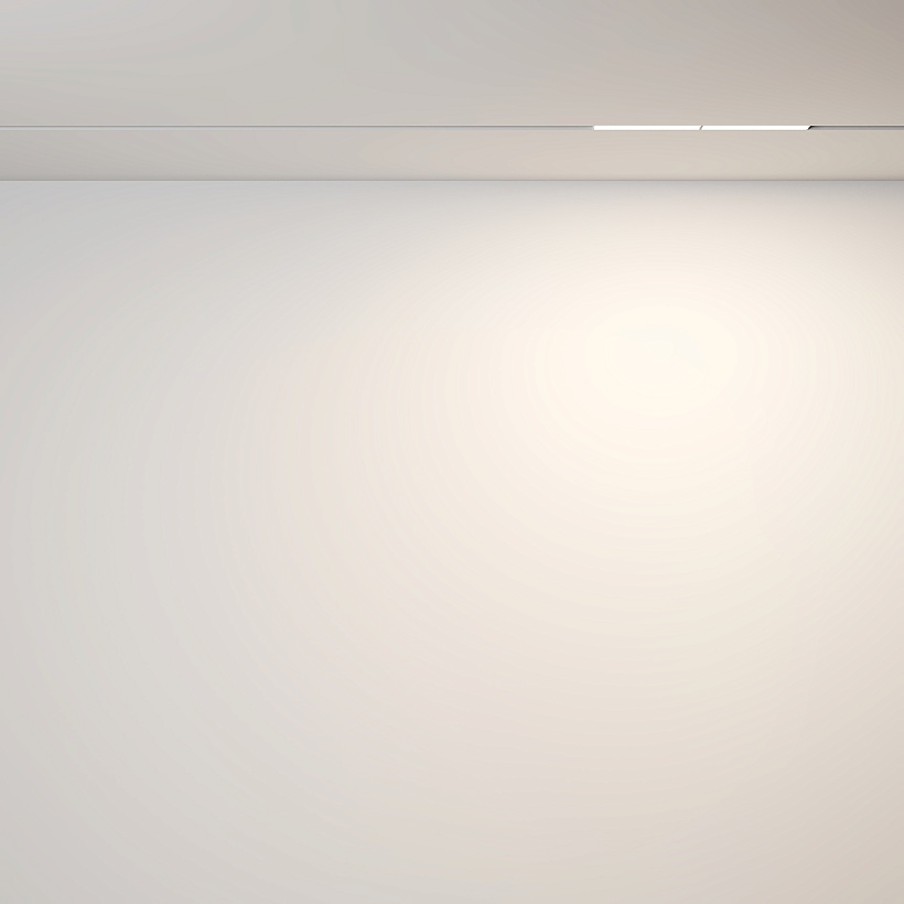 Трековый светильник Maytoni Technical TR106-2-12W3K-W