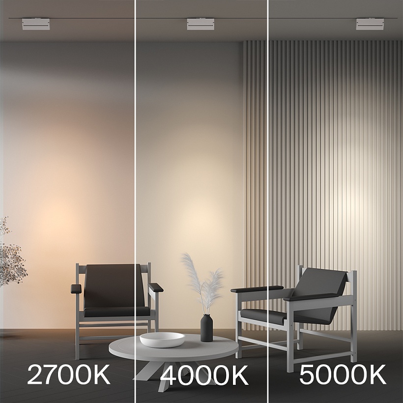 Трековый светильник Maytoni Technical TR224-1-12WCCT-M-W